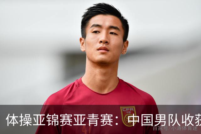 体操亚锦赛亚青赛：中国男队收获6枚金牌